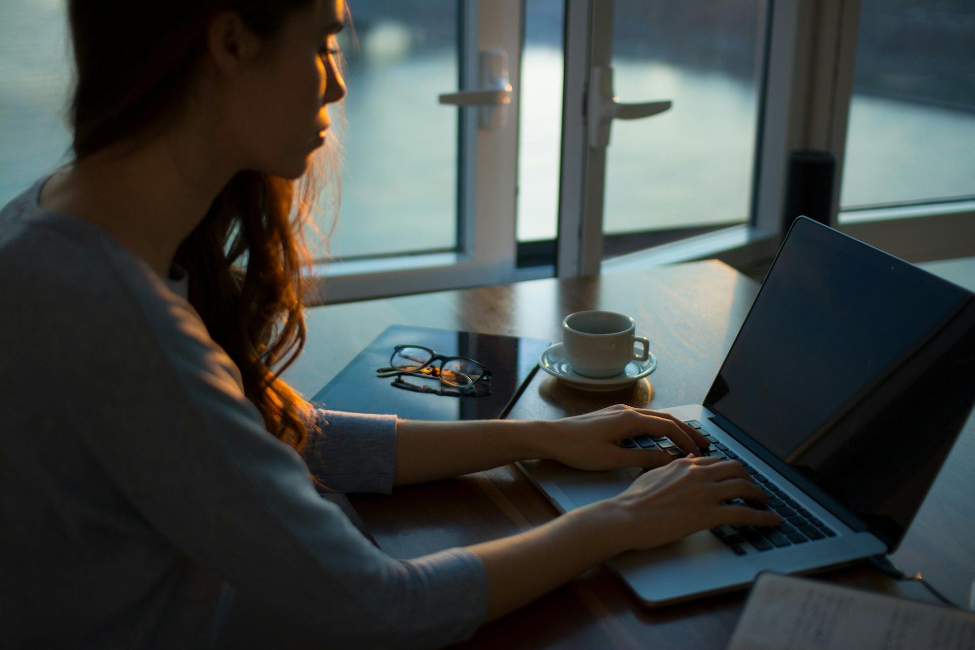 Person Working on Laptop - Gemma LLM